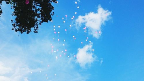 Low angle view of balloons against sky