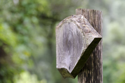 Close-up of wooden post