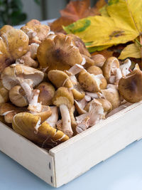 High angle view of mushrooms for sale in market