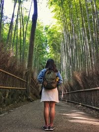 Rear view of woman standing in forest