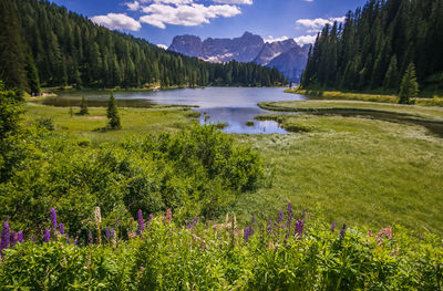 Scenic view of lake and trees against sky