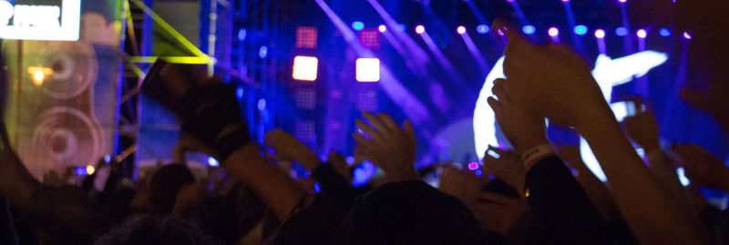 Crowd at music concert