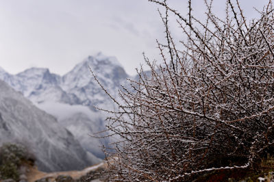 Scenic view of snow covered mountain against sky