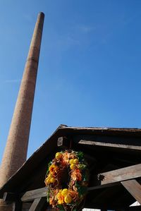 Low angle view of flowers against blue sky