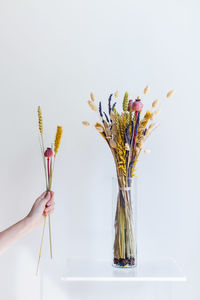 Close-up of flowers in vase against white background