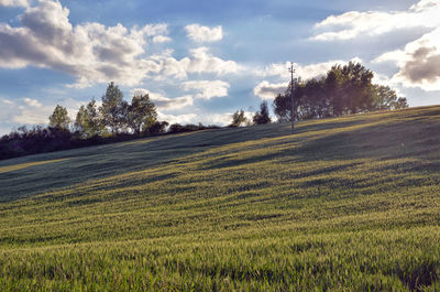 Scenic view of field against sky