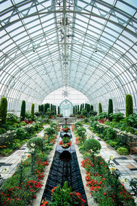 Interior of greenhouse