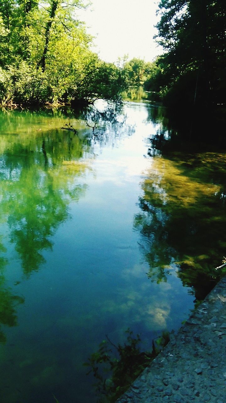 water, reflection, tree, lake, tranquility, tranquil scene, waterfront, beauty in nature, nature, scenics, growth, river, green color, standing water, day, pond, idyllic, no people, calm, outdoors