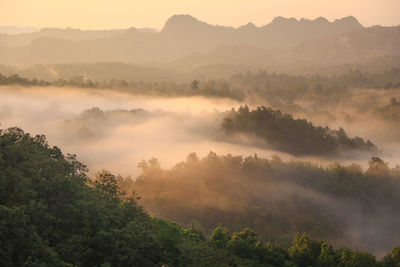 Scenic view of trees and mountains against sky