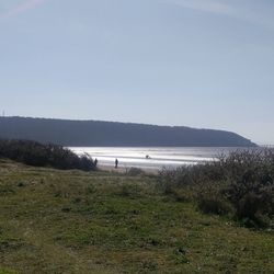 Scenic view of beach against clear sky