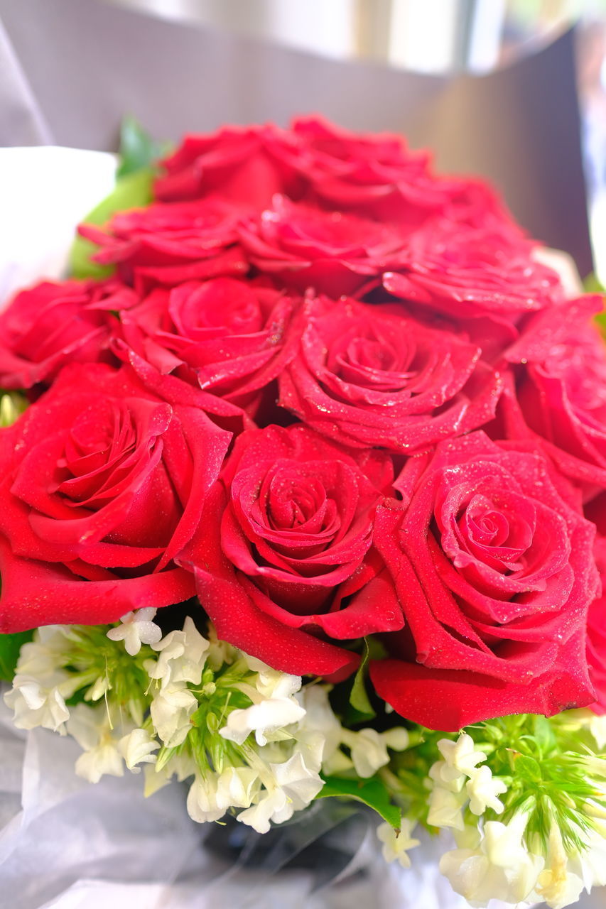 CLOSE-UP OF ROSES BOUQUET