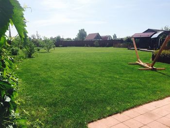 Trees on grassy field