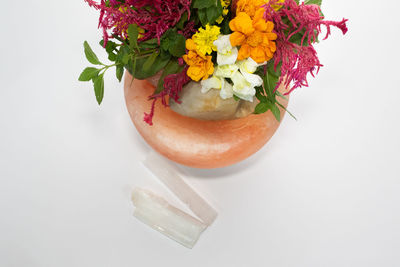 High angle view of flower pot against white background