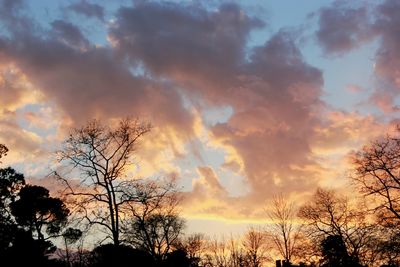 Low angle view of silhouette trees against sky at sunset