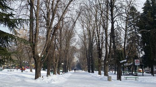 Snow covered trees in forest against sky