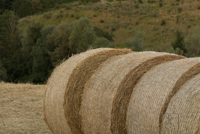 Close-up of hay bales on field against sky