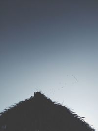 Low angle view of silhouette birds against clear sky