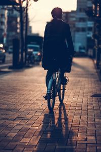 Rear view of man riding bicycle on street