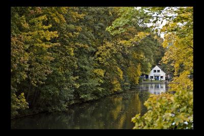 Trees by lake against buildings during autumn