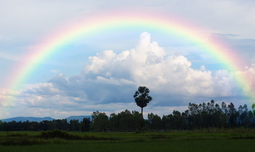 Scenic view of rainbow over field against sky