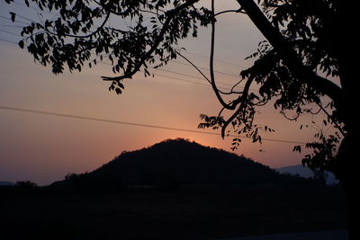 Low angle view of silhouette trees against sky at sunset