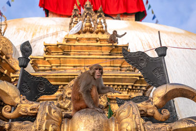 Low angle view of statue in temple