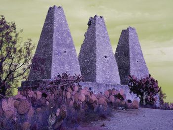 Purple flowers on rock by building against sky