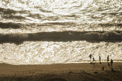 High angle view of people at beach