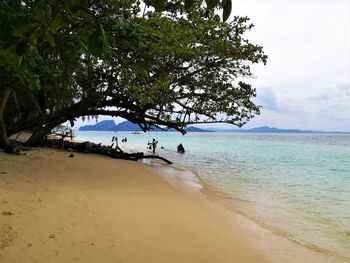 Scenic view of sea against sky