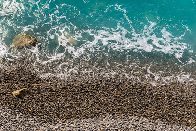 High angle view of starfish on beach