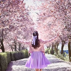 Rear view of woman standing by pink cherry blossom