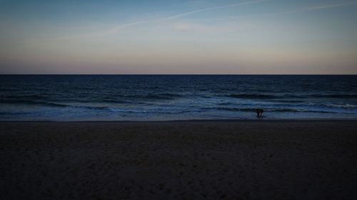 Silhouette man on beach against sky during sunset