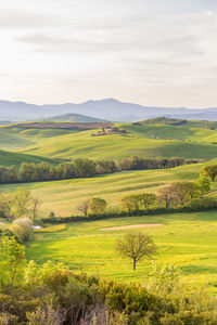 Landscape view with fields and hills