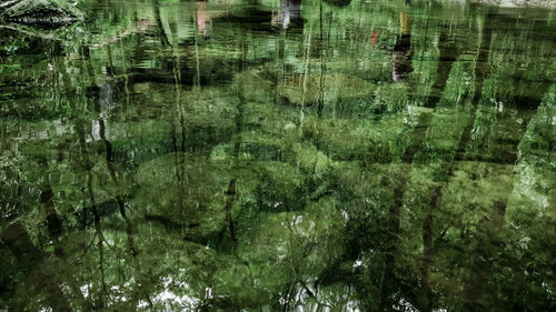 Digital composite image of lake