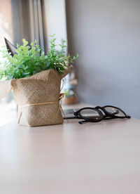 Close-up of potted plant on table at home.