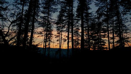 Silhouette trees against sky during sunset