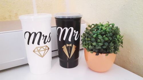 Close-up of potted plant on table