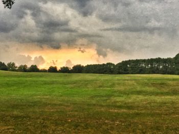 Scenic view of field against sky