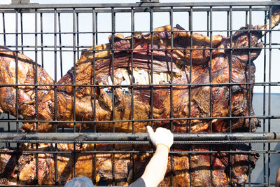 Rear view of woman standing in cage