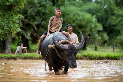 Man with horse in pond