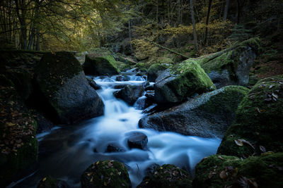 View of waterfall in forest