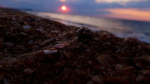 Close-up of stones on beach against sky during sunset