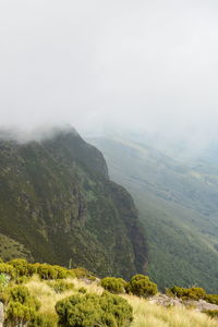The foggy landscapes in the aberdare ranges on the flanks of mount kenya