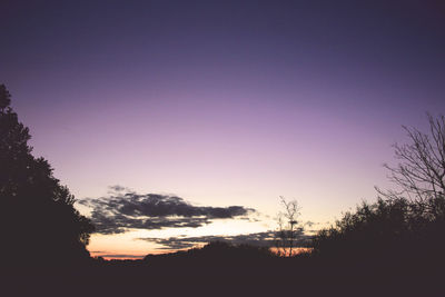 Silhouette trees against clear sky during sunset