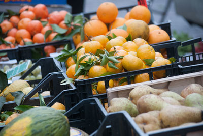 Fruits for sale at market stall