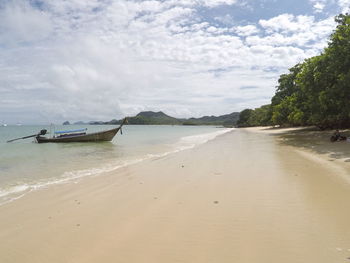 Boat anchored at shore of beach by trees