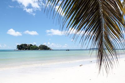 Idyllic sunny beach in seychelles