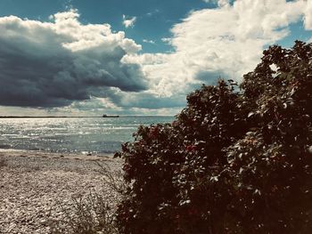 Scenic view of sea against sky