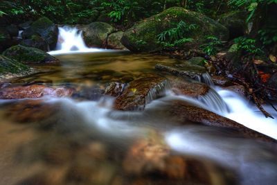 Scenic view of waterfall in forest