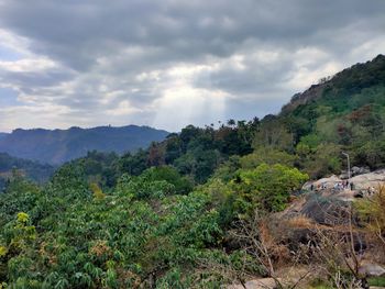 Scenic view of trees and mountains against sky